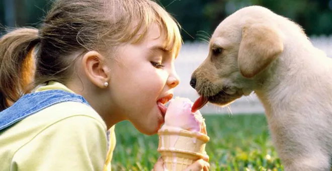 Fotografia Pet - Um ensaio de amor.